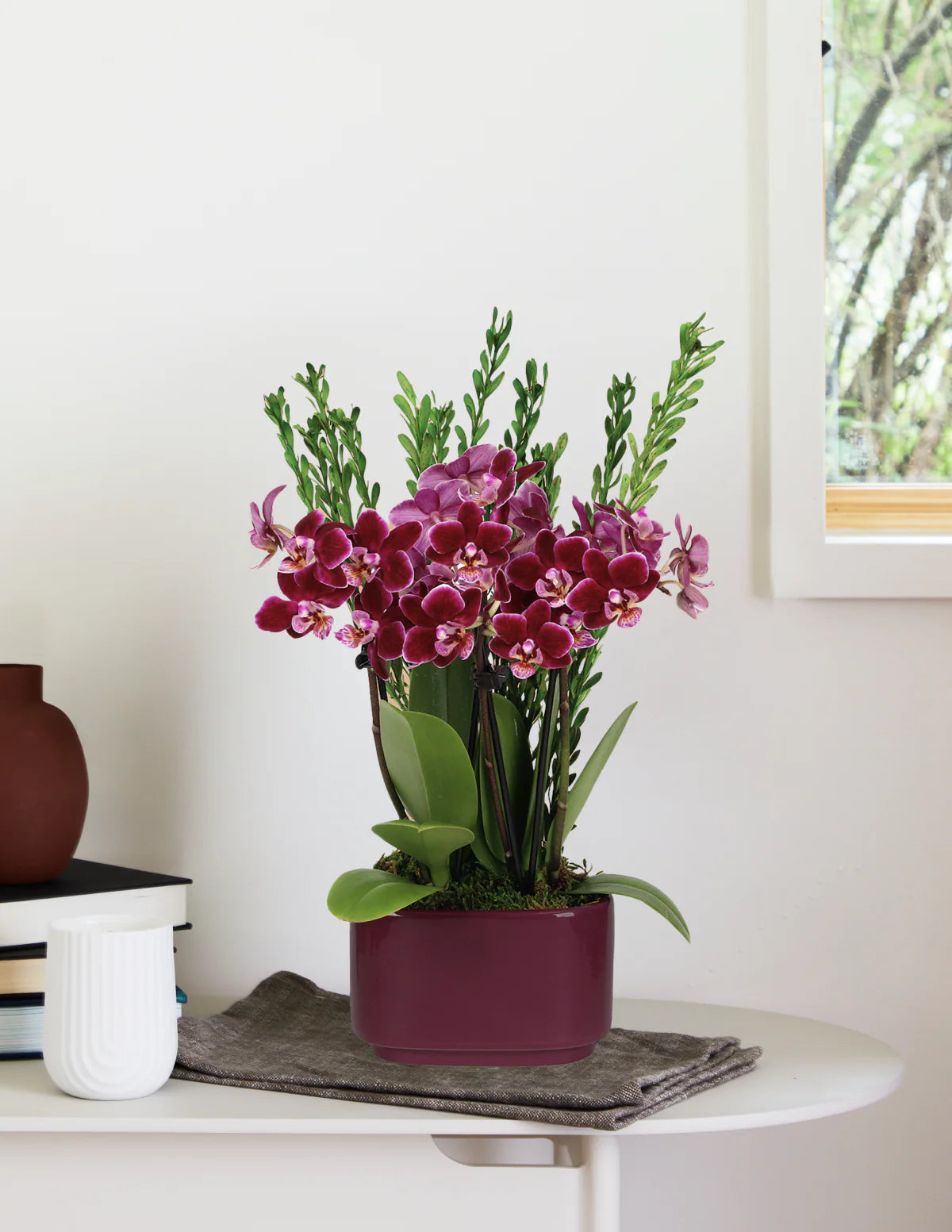 Small Double Orchid